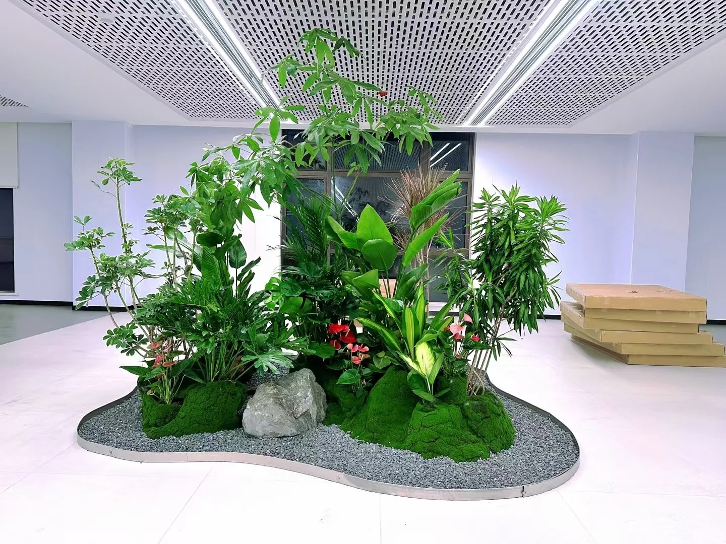 专业花木出租,宁波独特的绿色风景线